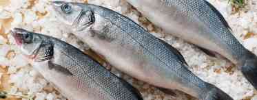 Риба білий амур: корисний вплив на організм і рецепти приготування