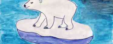 Дізнаємося як правильно намалювати ведмедя, щоб це було легким заняттям?