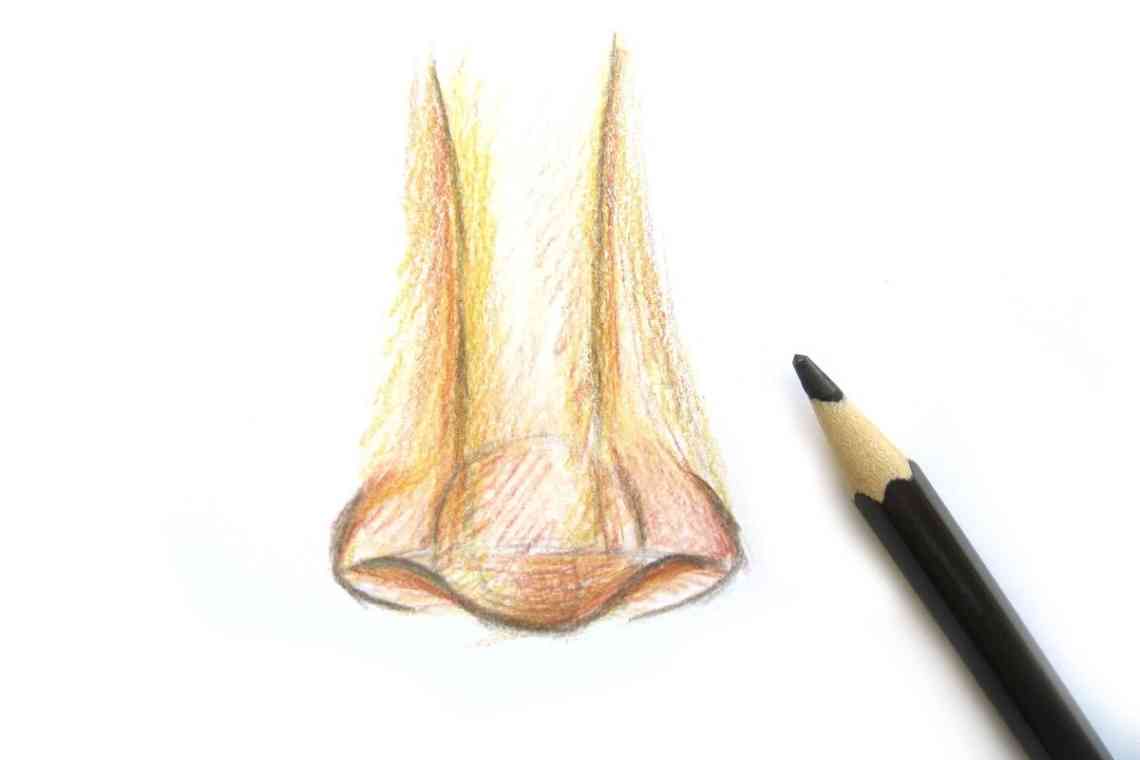 Дізнаємося як правильно намалювати ніс простим олівцем?