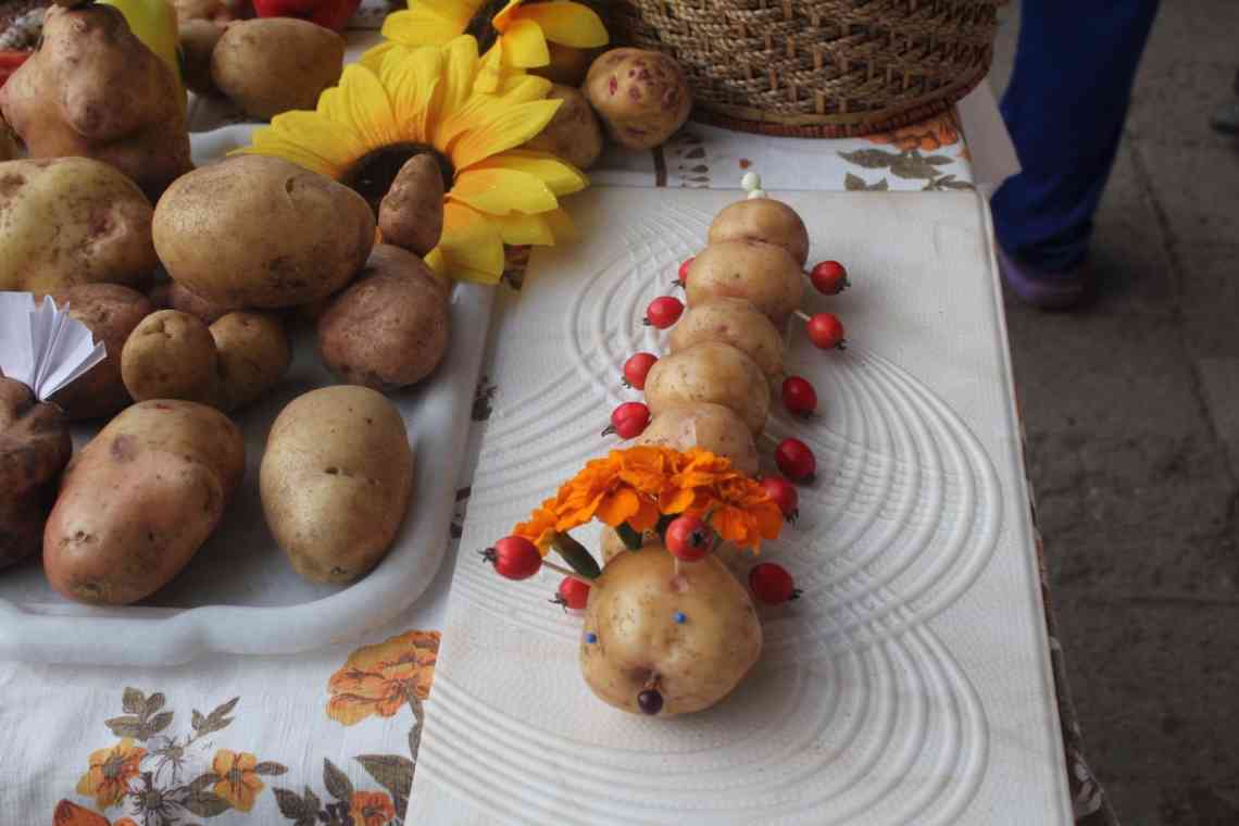 Красиві вироби з картоплі і не тільки