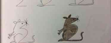 Уроки малювання з дітьми: як буде правильно намалювати зайця олівцем поетапно?