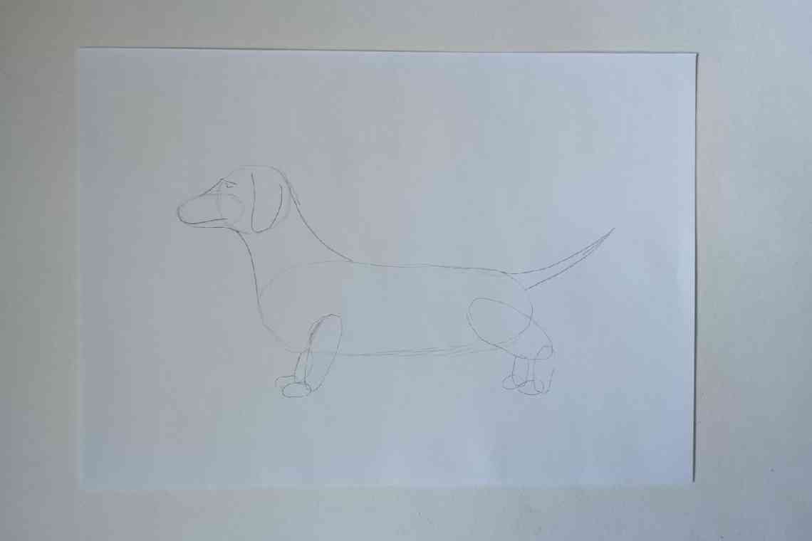 Дізнаємося як правильно намалювати собаку поетапно: майстер-клас