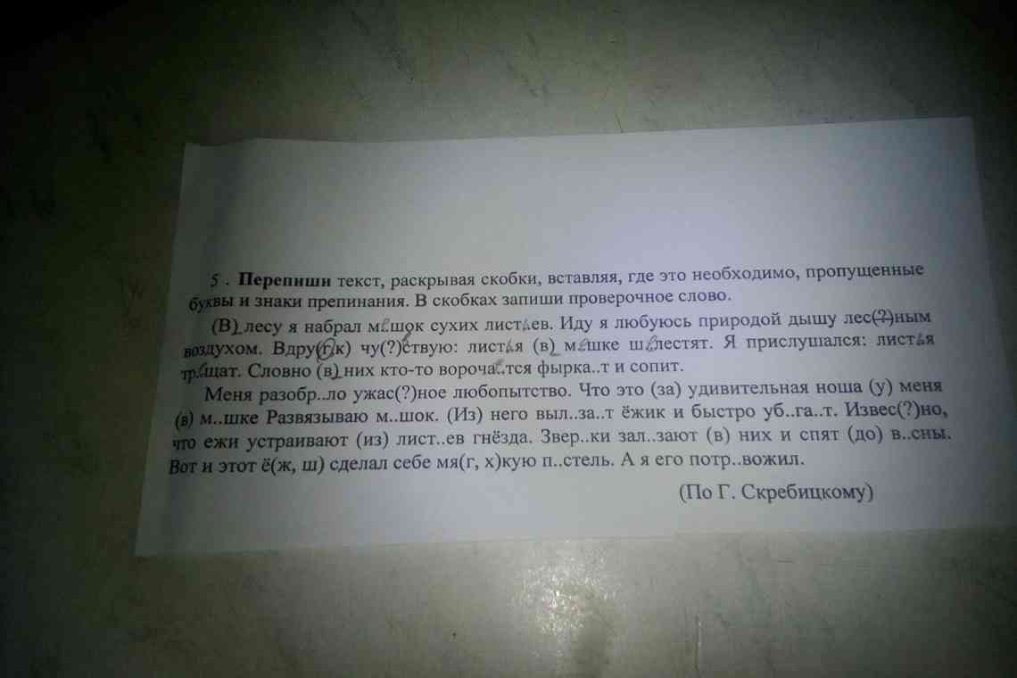 В оновленні Android з'явилася перевірка витоку паролів, відкладені повідомлення та інші дрібниці