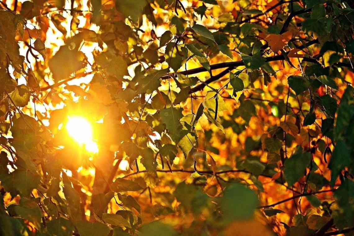 Сонце восени: опис