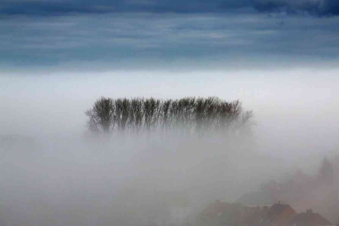 Що це туман, і як він утворюється?