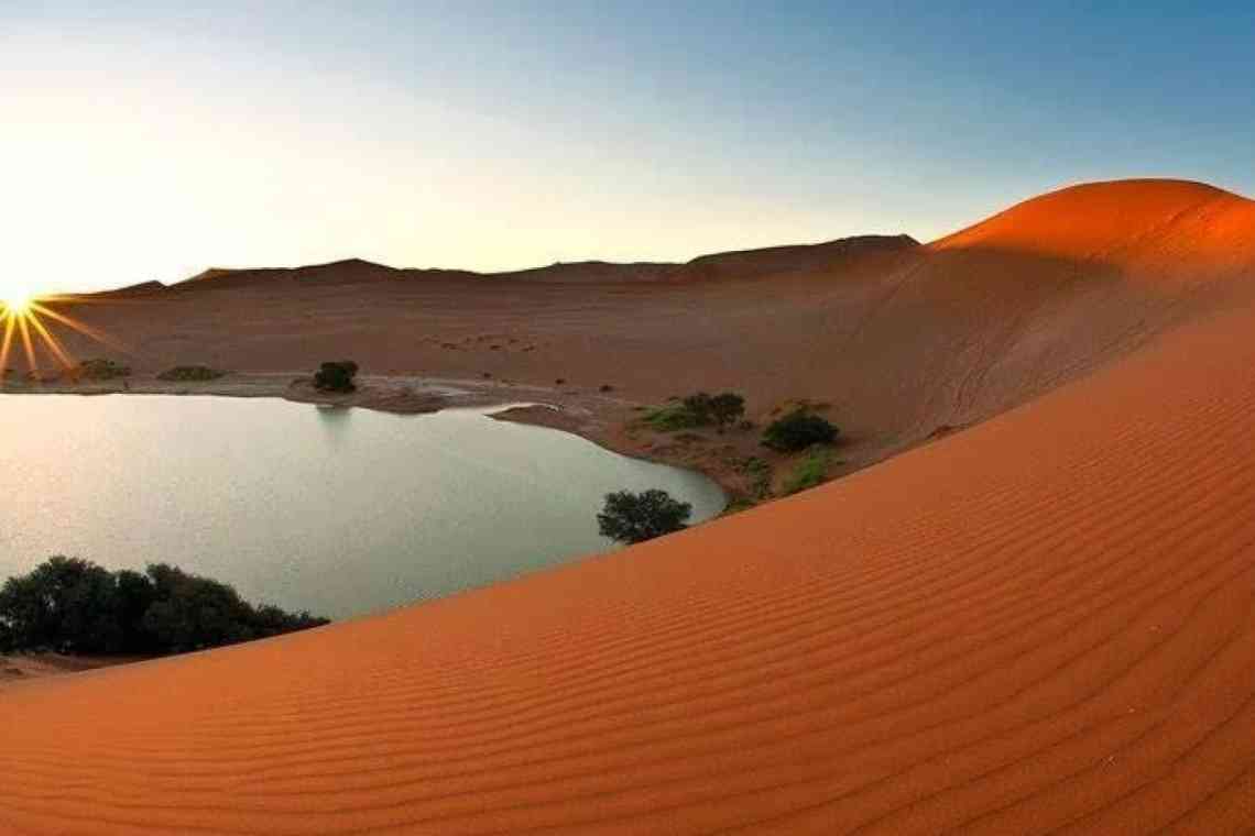 Яка найбільша пустеля у світі? Цікаві факти про найбільшу пустелю