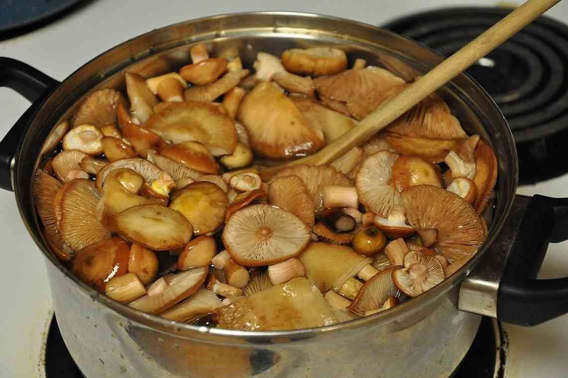 Дізнаємося як правильно готувати гриби моховики: кілька відмінних рецептів