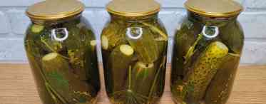 Рецепт засолки огірків з горілкою. Засолка огірків холодним способом з горілкою