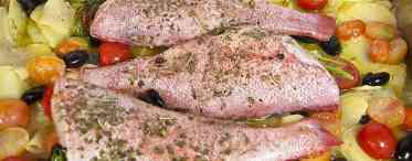 Дізнаємося як правильно приготувати червону рибу в духовці? Рецепти, особливості та рекомендації
