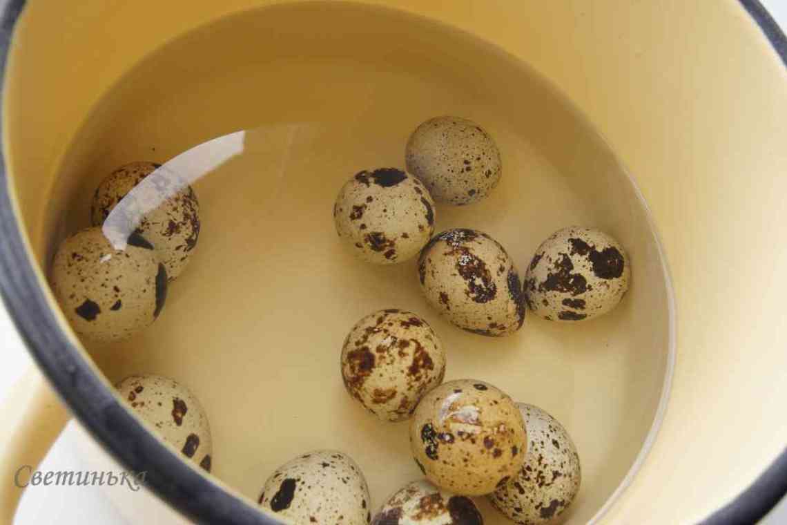 Скільки і як правильно варити перепелині яйця?