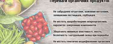 Абрикоси: калорійність і корисний вплив на організм