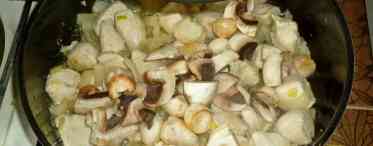 Як загасити гриби з картоплею і цибулею в сметані