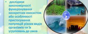 Теми проектів з екології: визначення, класифікація, вибір теми та презентації