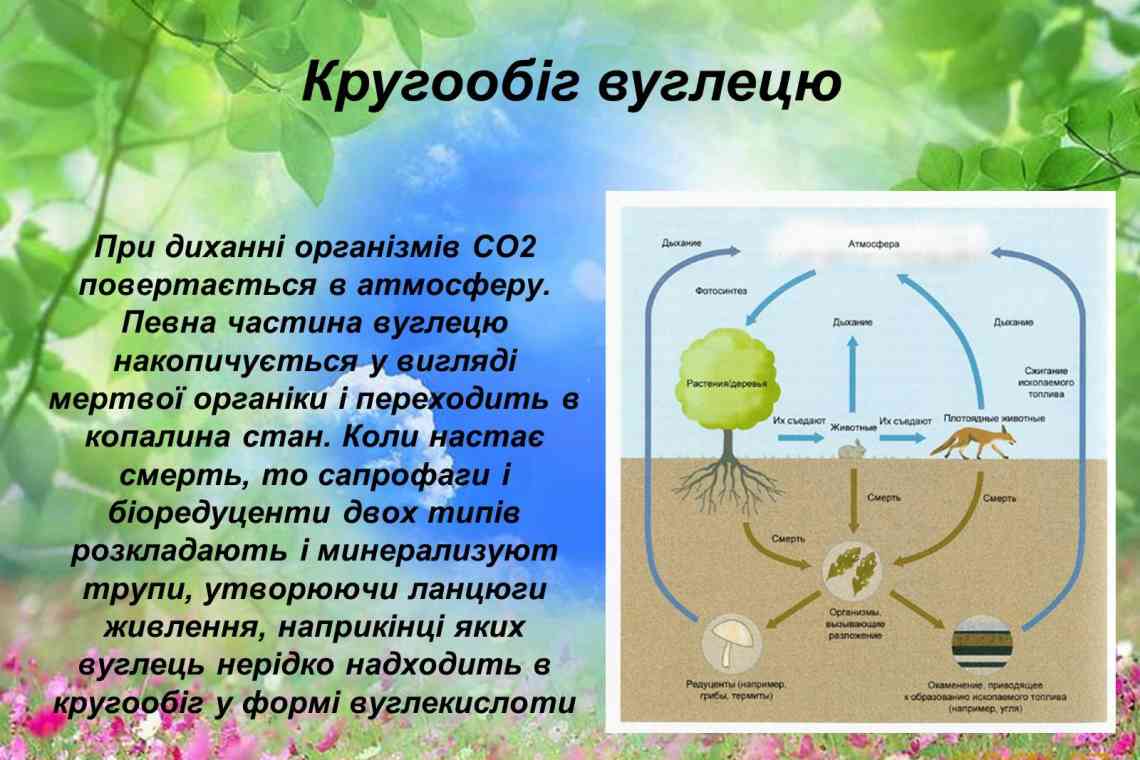 Дізнаємося що нам відомо про двоокис вуглецю?