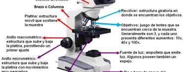 Різновиди мікроскопів: короткий опис, основні характеристики, призначення. Чим електронний мікроскоп відрізняється від світлового?