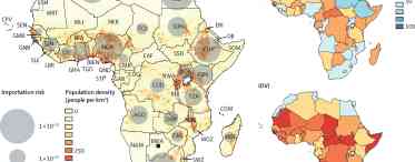 Яка площа Африки? Найбільші за площею держави Африки