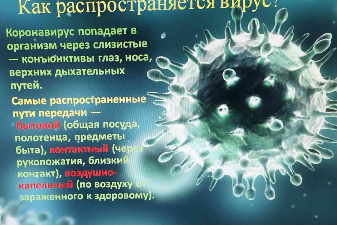 Хімічний склад вірусів та їхня сторінка