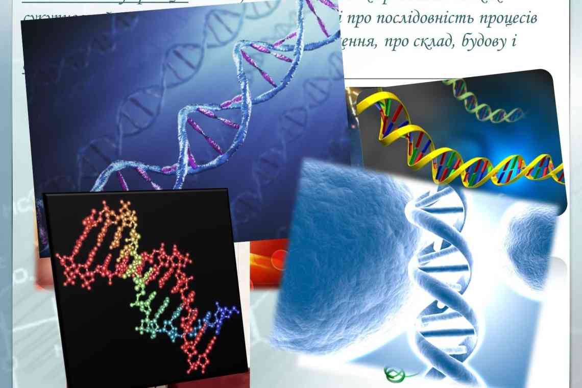 Кодомінування - це незвичайний тип взаємодії алельних генів