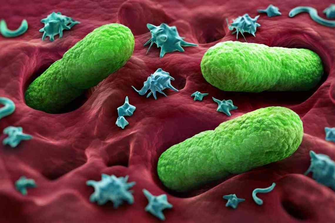 Бактерії гниття і розкладання