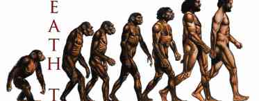 Дізнаємося хто вони, предки людей? Основні етапи еволюції людини