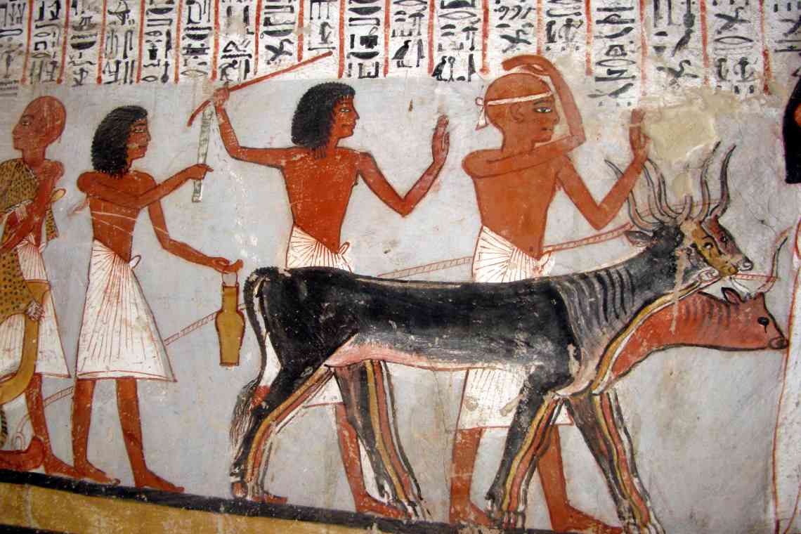 Вельможі в стародавньому Єгипті: історичні факти