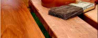 Вчені навчилися створювати деревину в пробірках - це дозволить вирощувати готові меблі