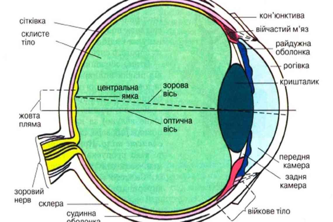 В Ізраїлі за допомогою штучної рогівки KPro повернули зір сліпій людині