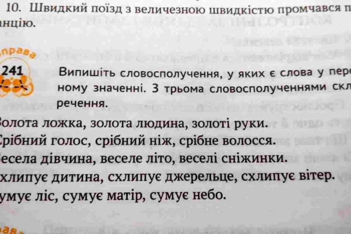 Яке значення слова є бідою і прикладами його вживання у мовленні