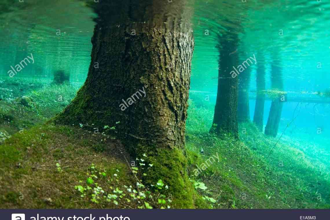 Унікальне Зелене озеро: підводний світ посеред Австрії