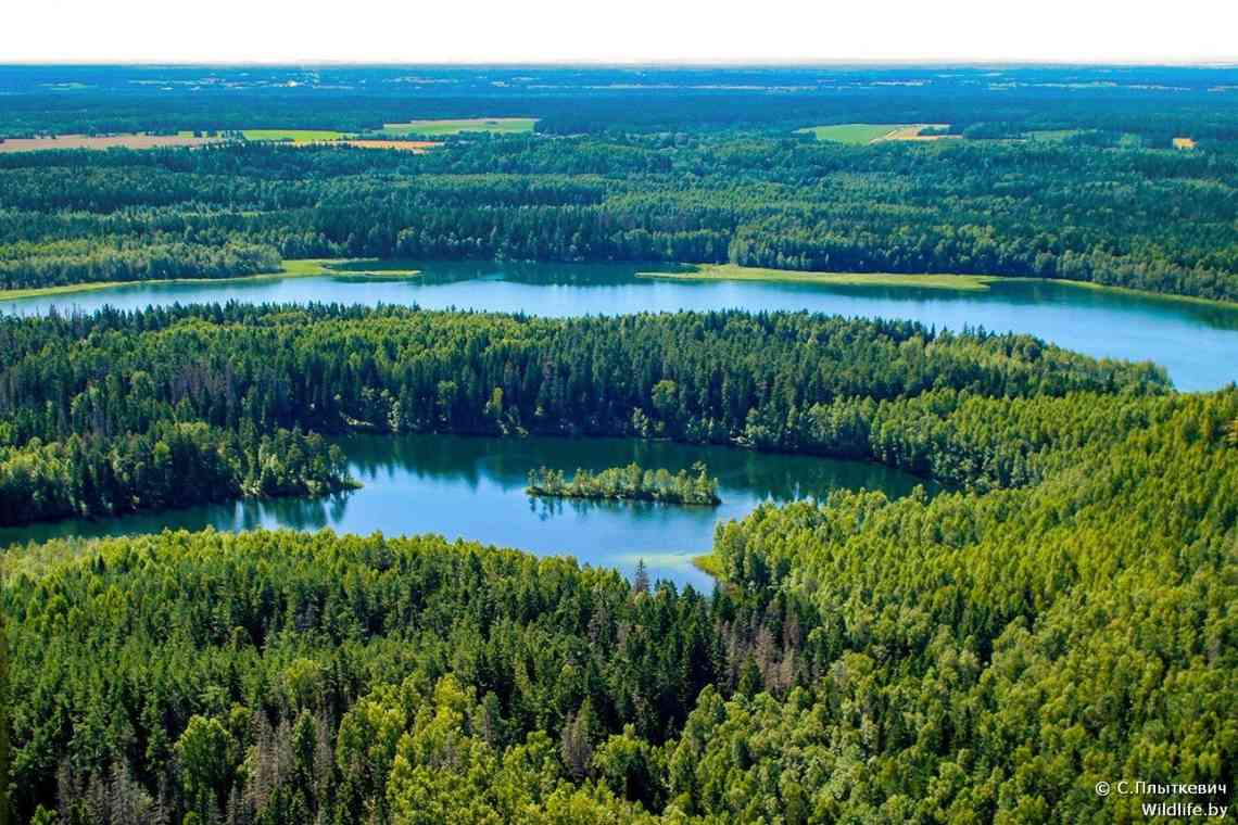Знаменині заповідники та національні парки Білорусі