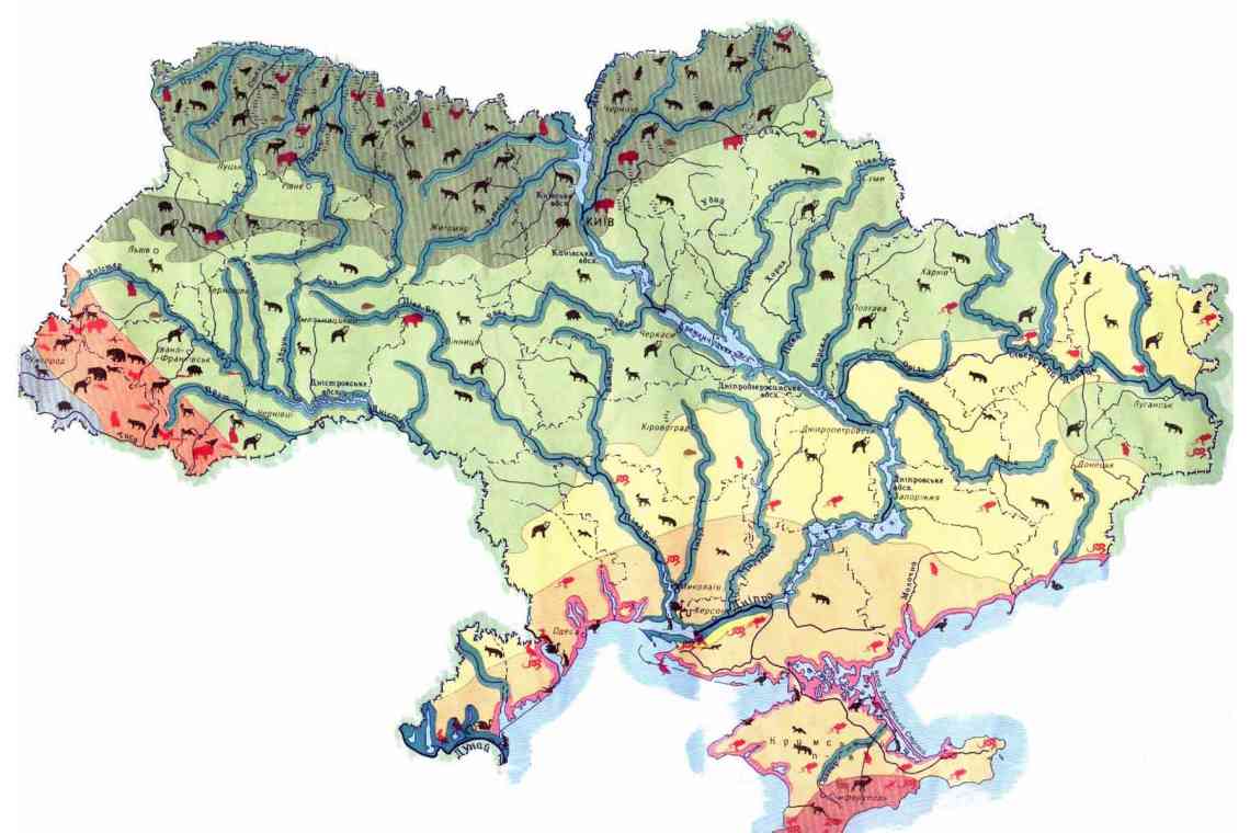 Оцінка запасу підземних вод. Хто здійснює оцінку запасів підземних вод?