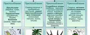 Як відмовитися від солодкого відразу і назовсім: 4 способи