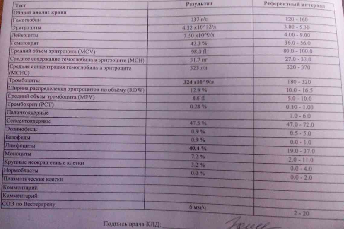 Натощак чи все-таки ні: чи можна пити перед здачею крові