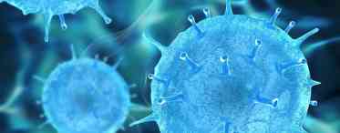 5 речей, яких боїться коронавірус