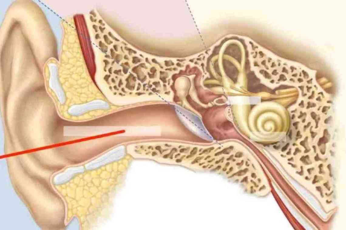 Пухлини вуха