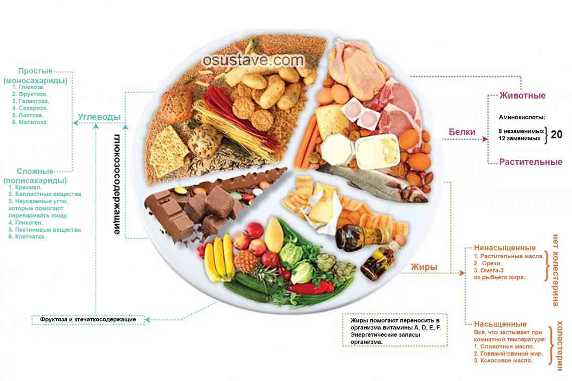 Абетка ПП: як працює травна система і які продукти не можна класти в одну тарілку?