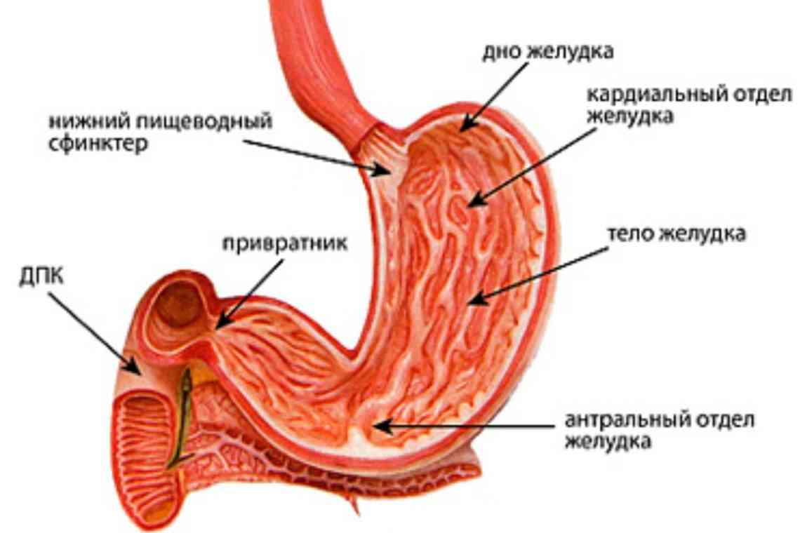Ектопія отвору сечовика