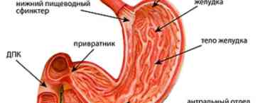 Ектопія отвору сечовика