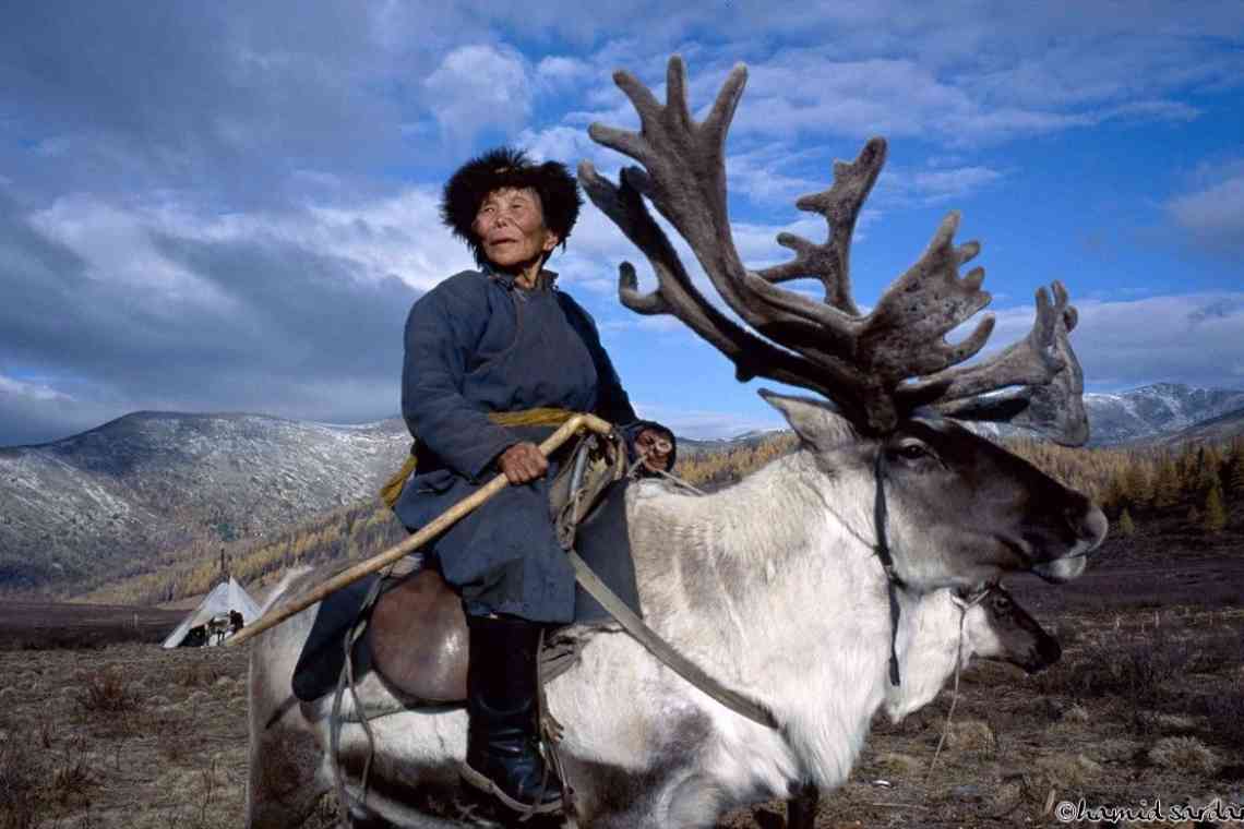 Монгольська пляма