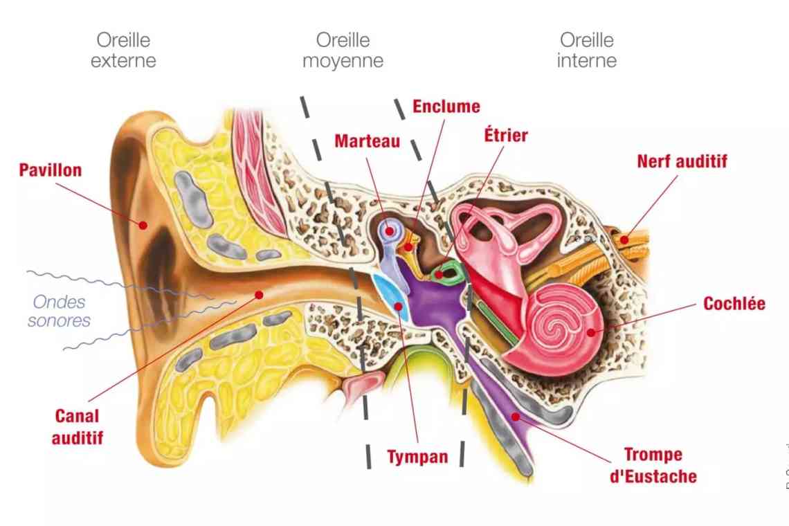 Чому навушники можуть стати причиною порушення слуху (справа зовсім не в гучному звуку)