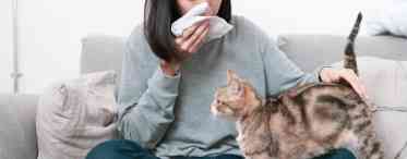 Алергія на домашніх тварин