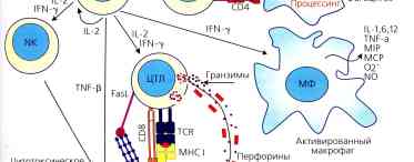 Периферична вегетативна недостатність