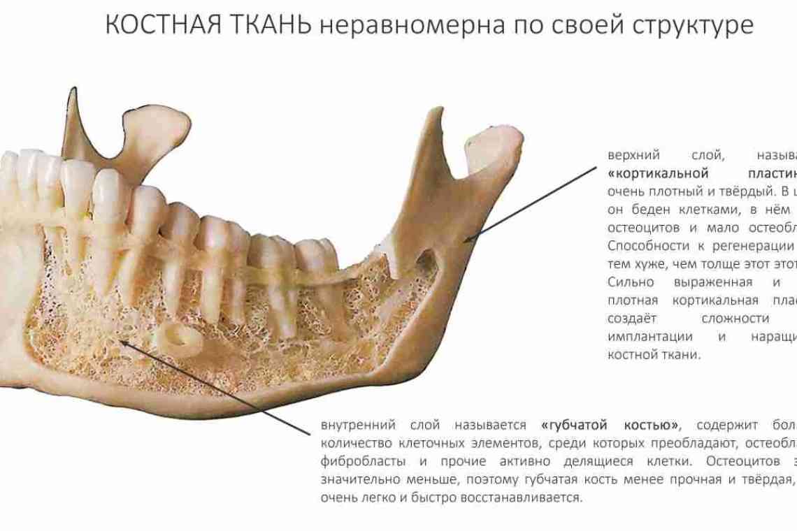 Вивих нижньої щелепи