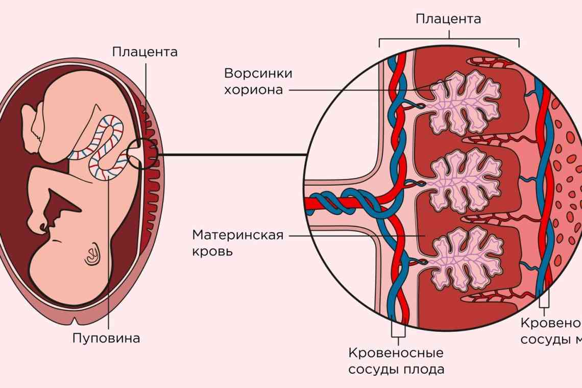 Порушення маточно-плацентарного кровотоку