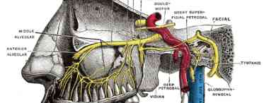Невралгія вушного вузла