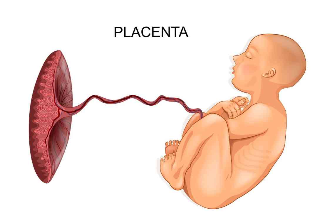 Приріст плаценти