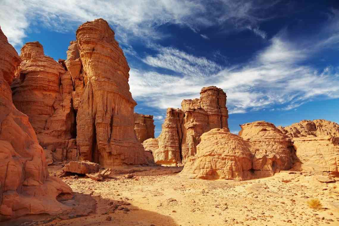 Пустеля Сонора: короткий опис, історія та цікаві факти