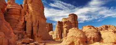 Пустеля Сонора: короткий опис, історія та цікаві факти