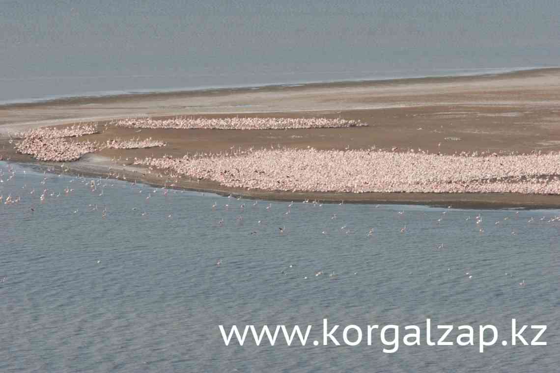 Озеро Тенгіз у Казахстані: фото, опис