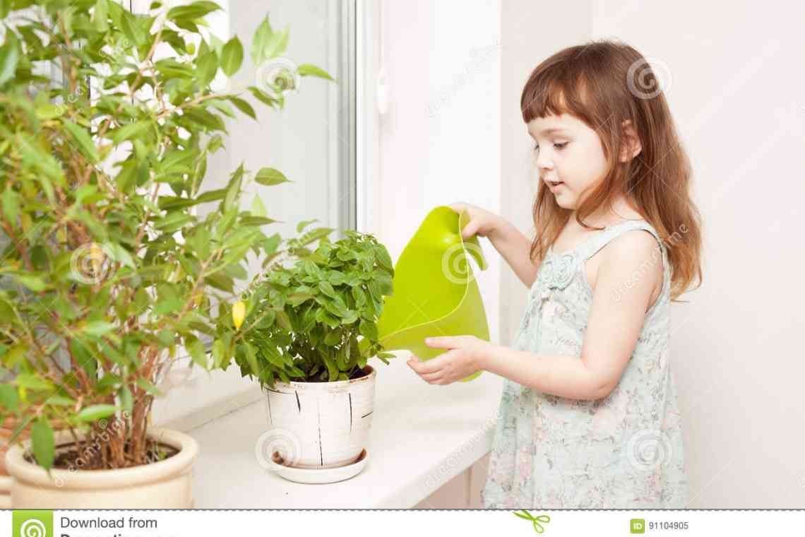 Тюльпан у горщику: як доглядати за ним? Як висаджувати та поливати рослину?